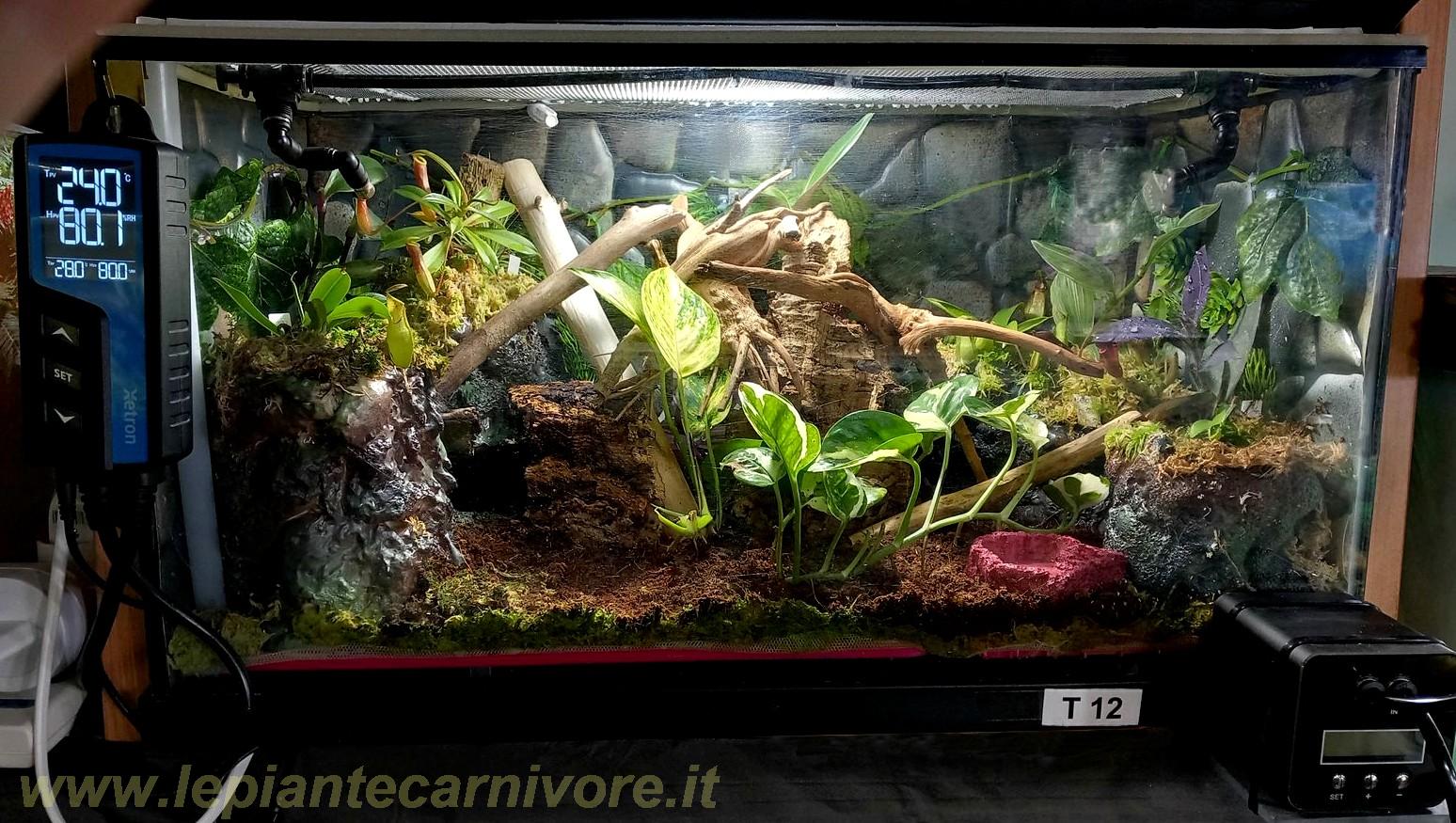 Terrario Bioattivo